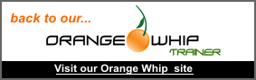 Orange Whip Training Device